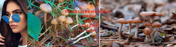 крисы Алексеевка