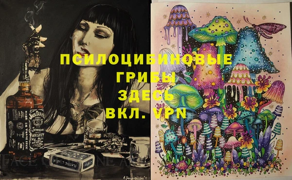 крисы Алексеевка