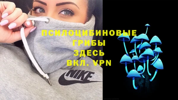 ALPHA PVP Алзамай