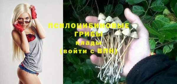 крисы Алексеевка