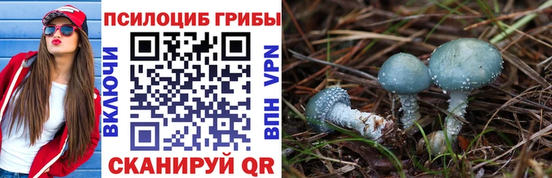 Псилоцибиновые грибы прущие грибы Апрелевка